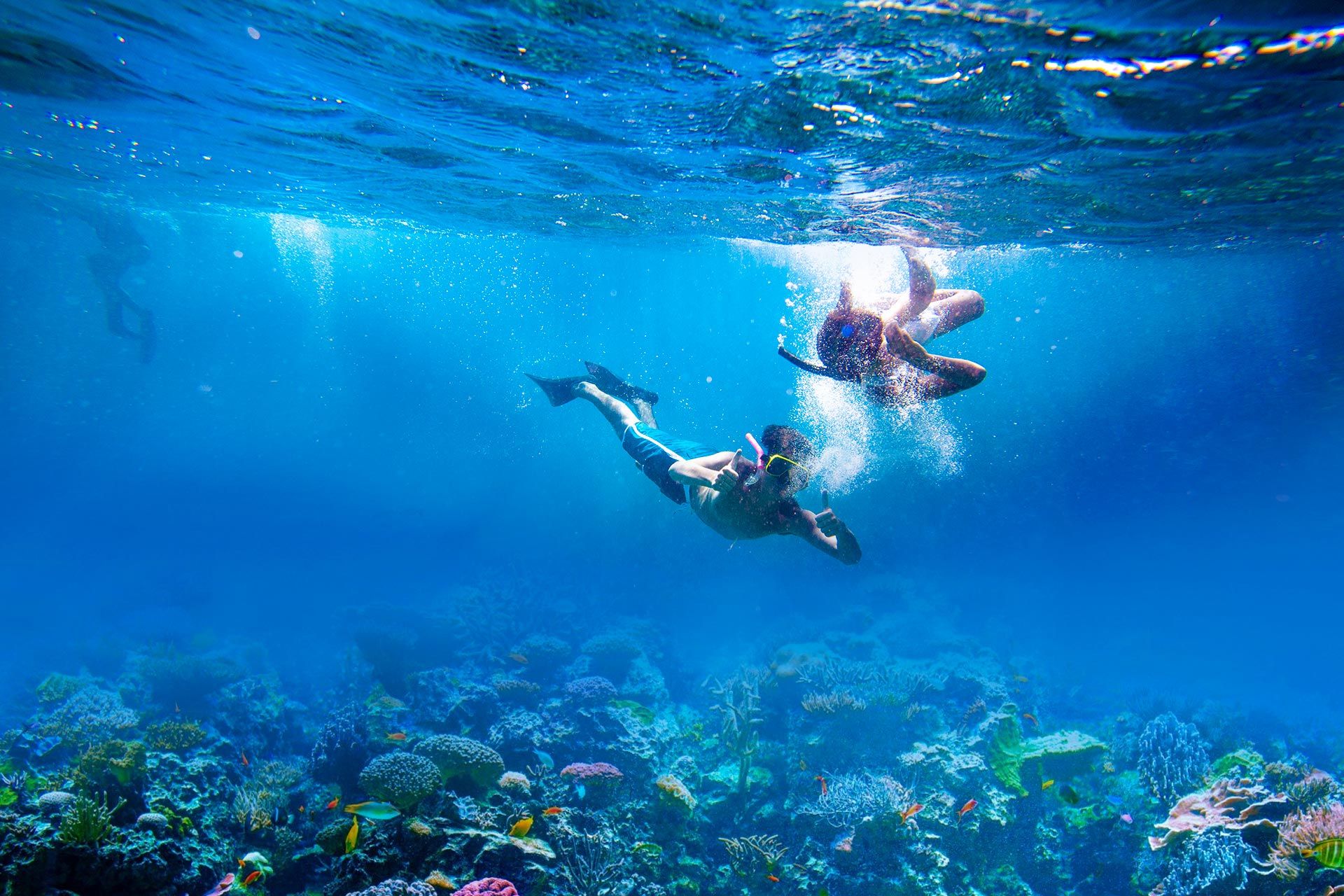 The 10 Best Snorkeling Spots Of Turks & Caicos | Beaches