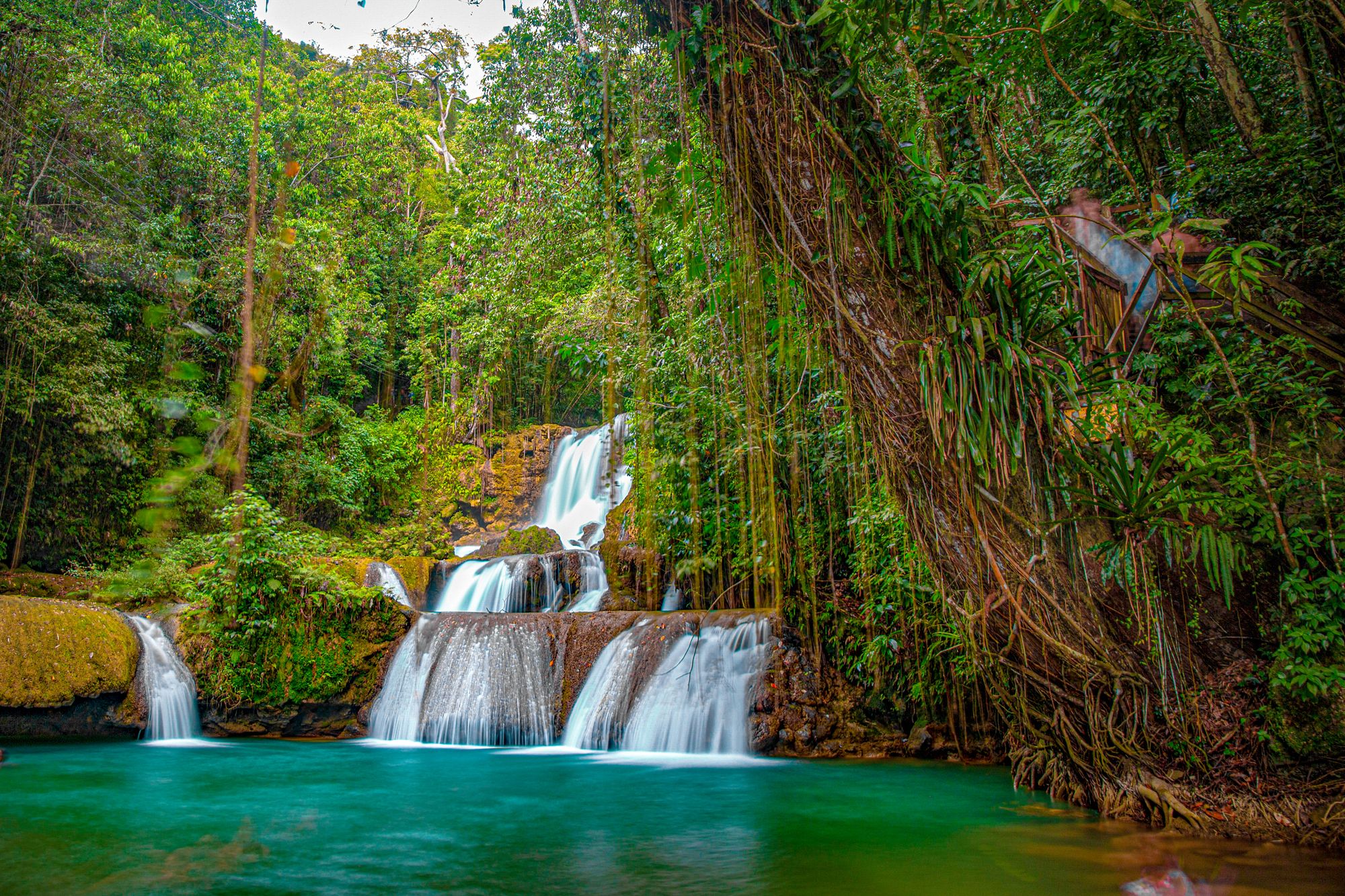 top excursions in jamaica