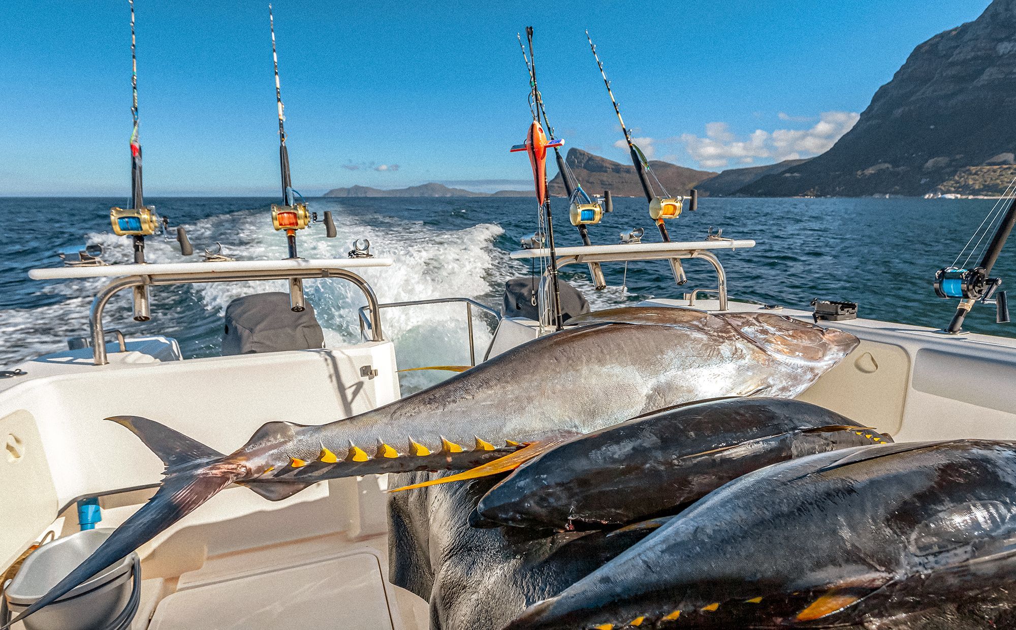 Why You’ll Love Fishing in Turks and Caicos (Even If You’re A Beginner!)