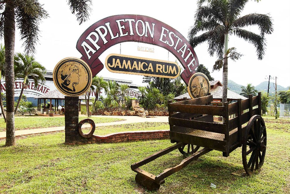 excursion-negril-appleton