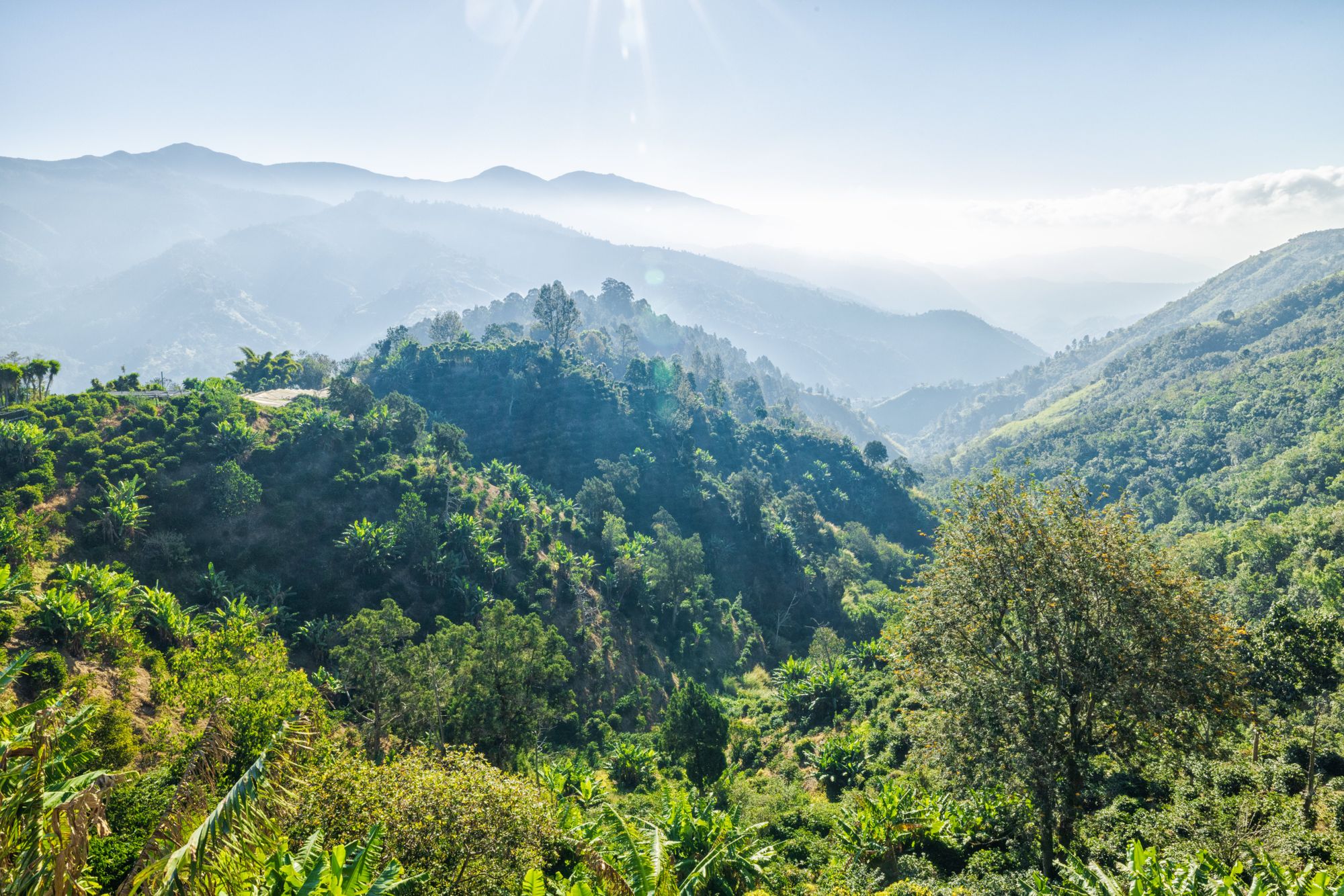 blue-mountains-jamaica