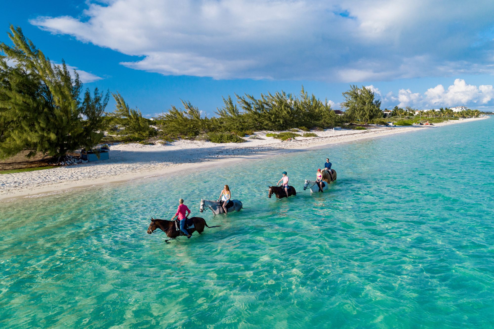 turks-caicos-horse-riding-beach