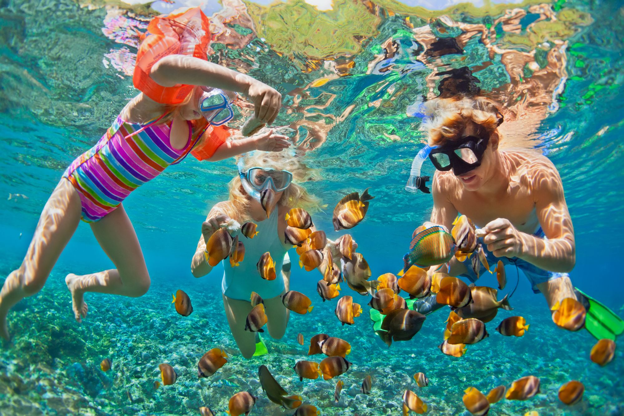 family snorkeling near fish