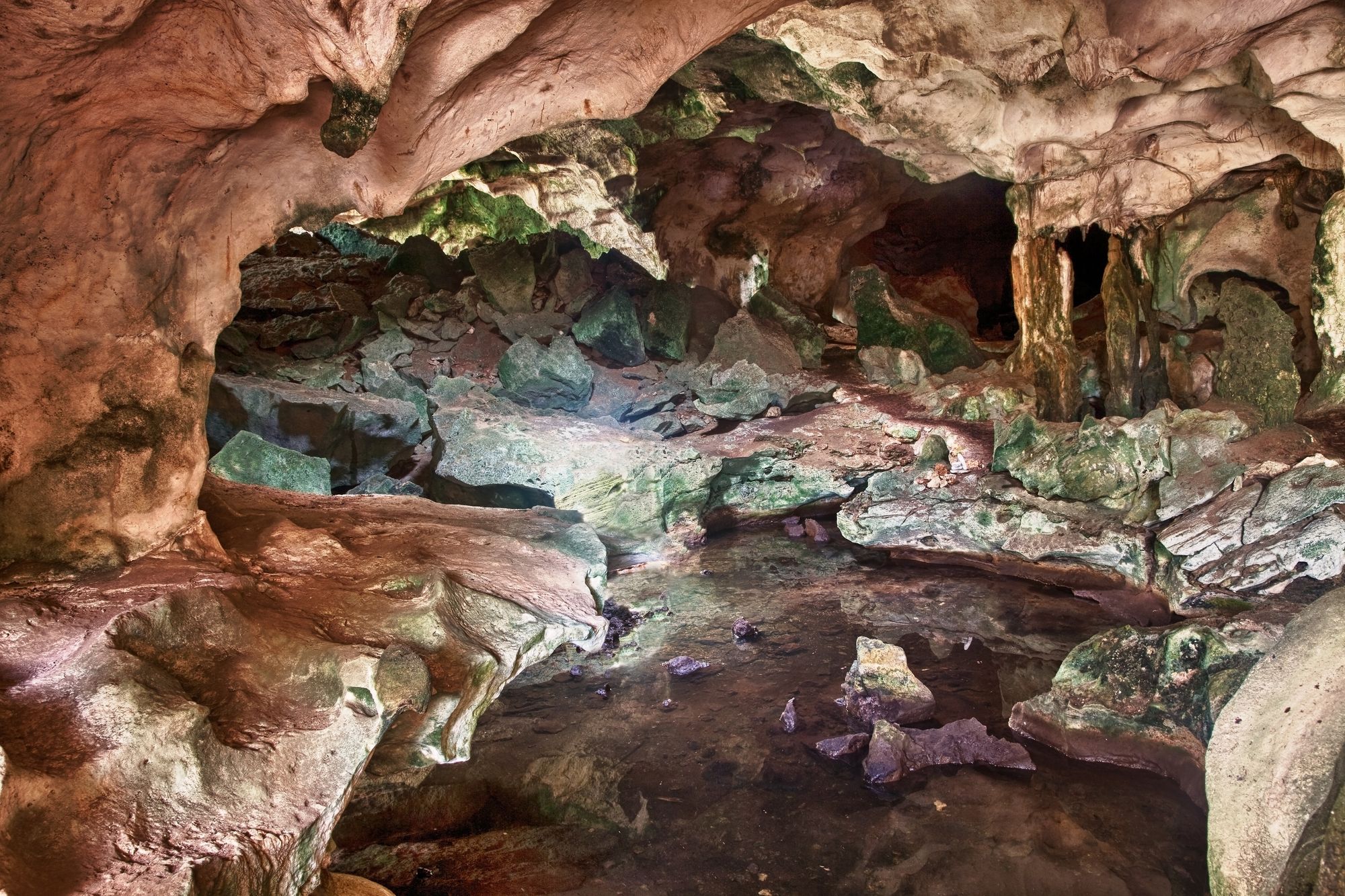 Conch Bar Caves