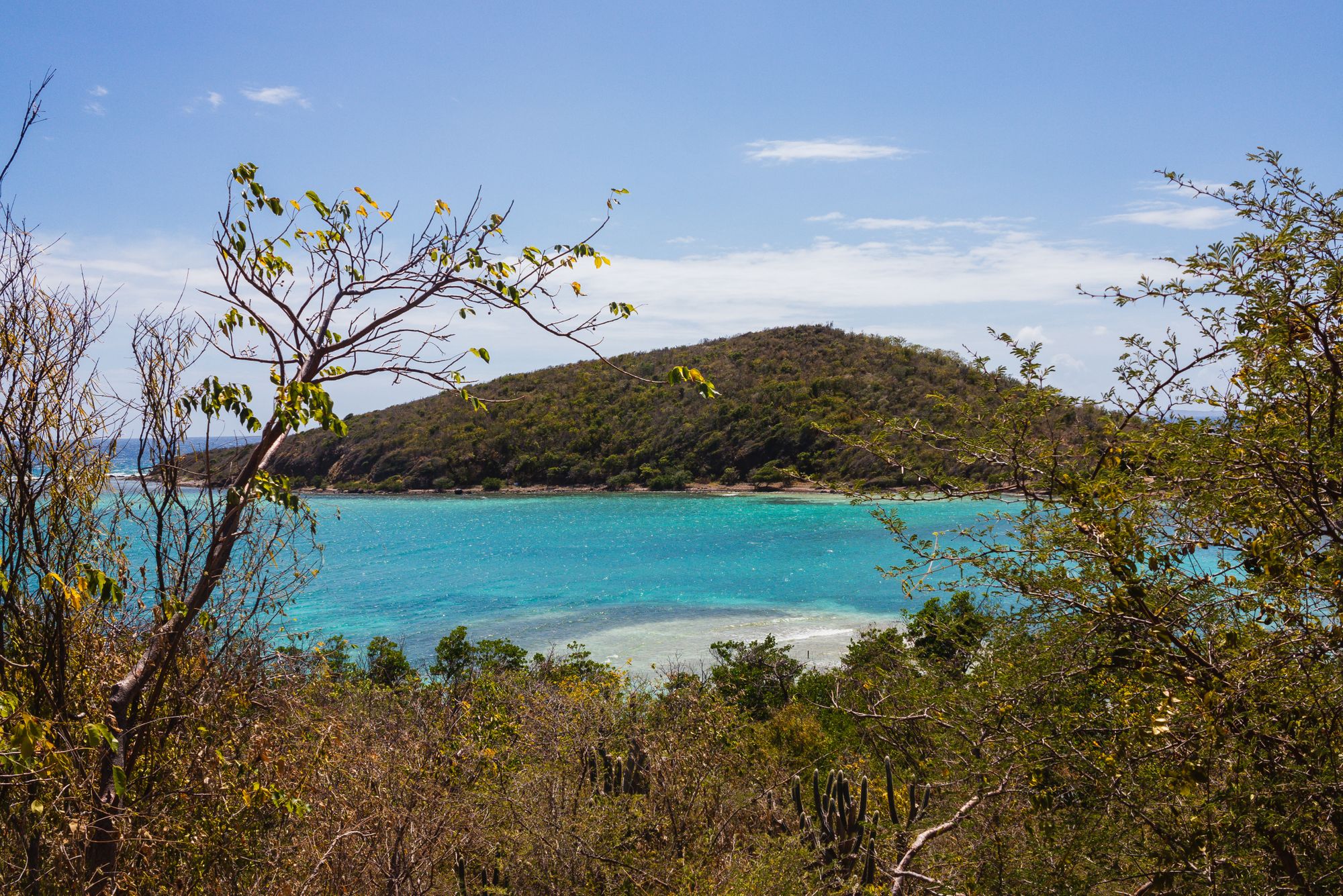 Discover the Caribbean: 30 Islands Ranked for Every Type of Traveler