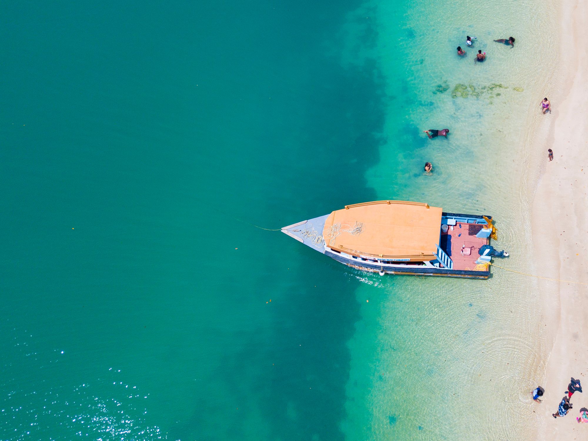 Tobago Buccoo Reef