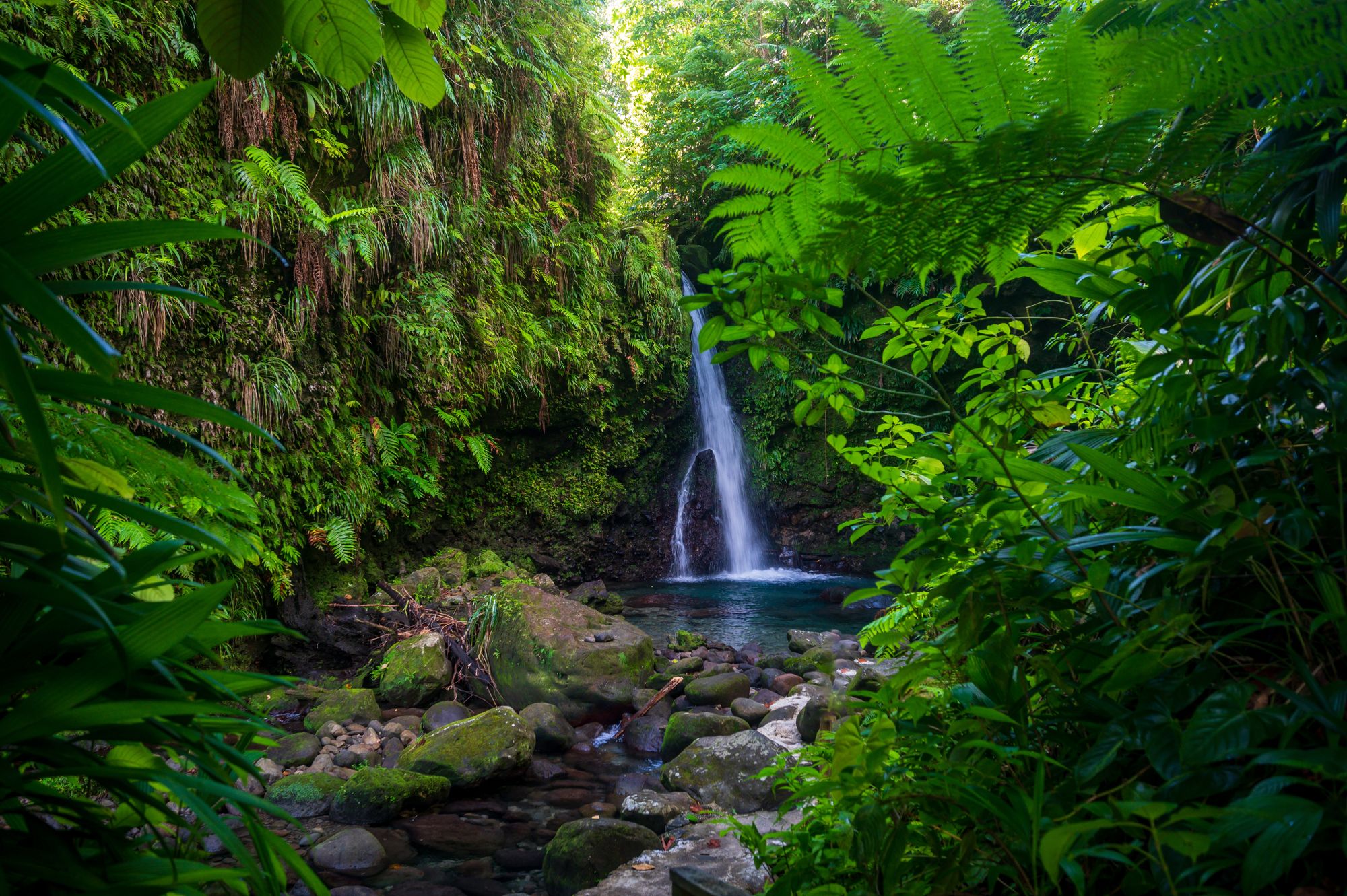 Discover the Caribbean: 30 Islands Ranked for Every Type of Traveler